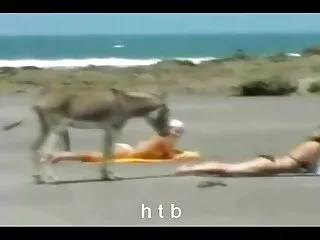 وكيل الجمارك bete كي chudai ضابط الهواة كي كاهاني إجراء الفحص.