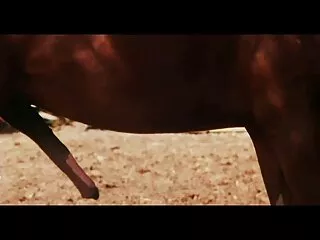 تلميح الهندية مثير الهندي الفيديو العري ثم انه